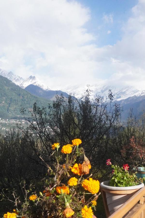 Himalayan Woods Cottage มะนาลี ภายนอก รูปภาพ